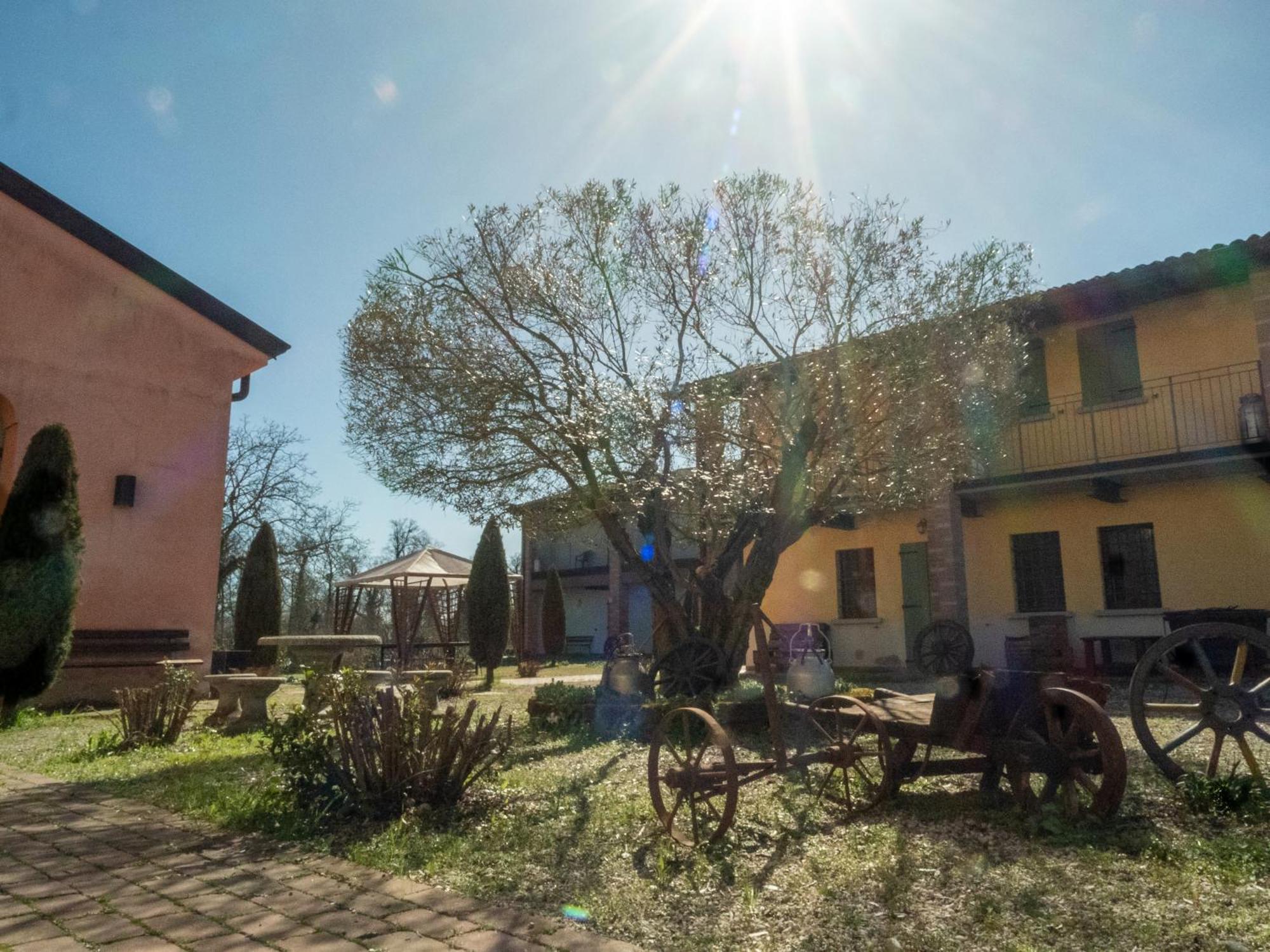 Agriturismo Borgo Del Mincio Volta Mantovana Exterior photo